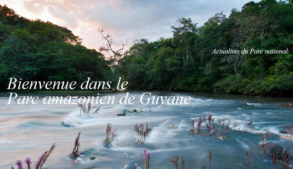 Le Parc Amazonien de Guyane se dote de 9 défibrillateurs Defibtech